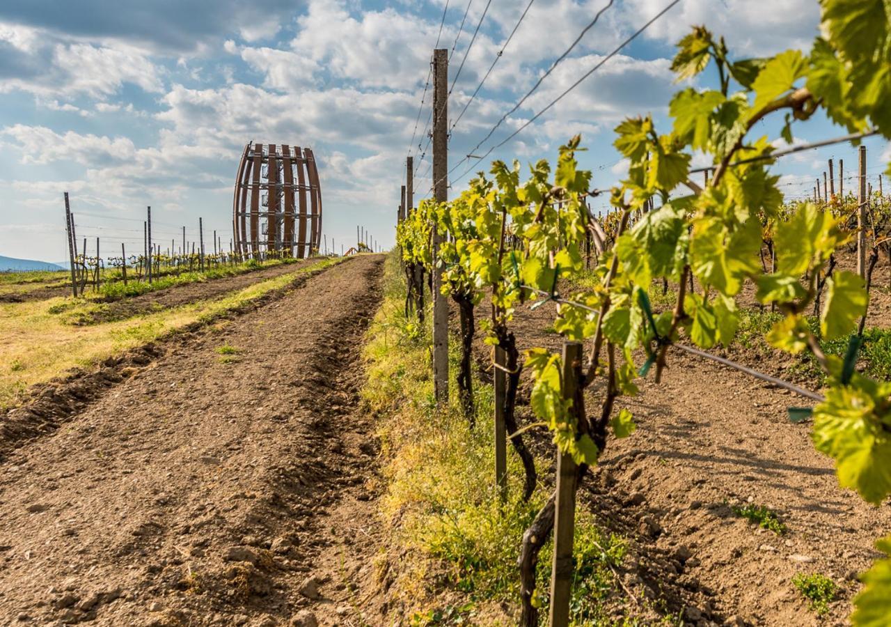 Penzion Tokaj Macik Winery B&B Mala Trna ภายนอก รูปภาพ