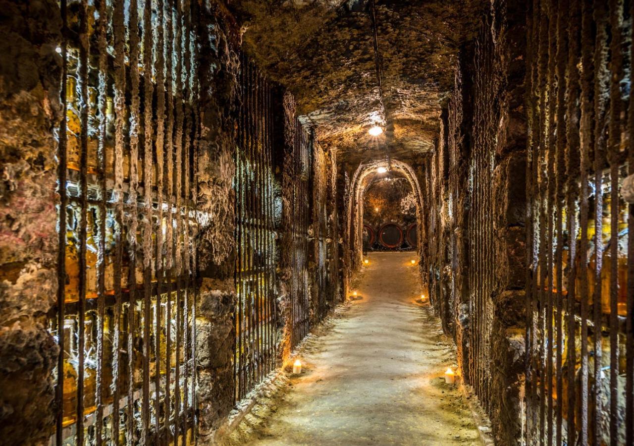 Penzion Tokaj Macik Winery B&B Mala Trna ภายนอก รูปภาพ